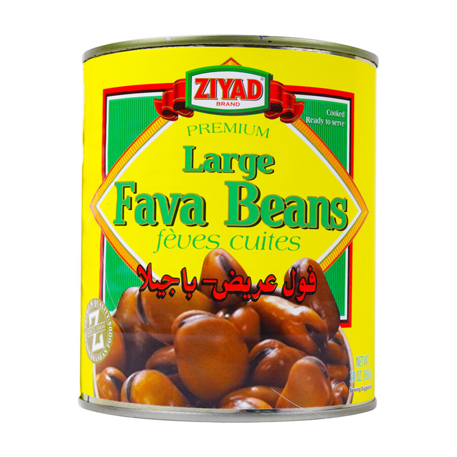 ZIYAD LARGE FAVE BEANS 24X15OZ