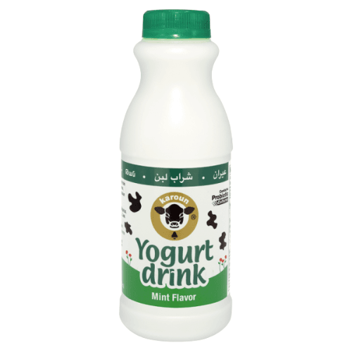 KAROUN YOUGURT DRINK MINT 16OZ 1 PT