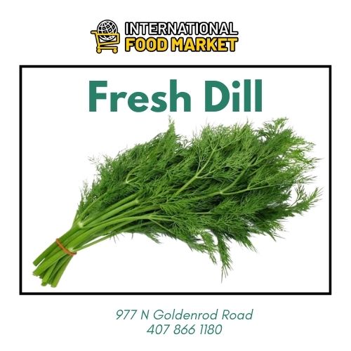FRESH DILL