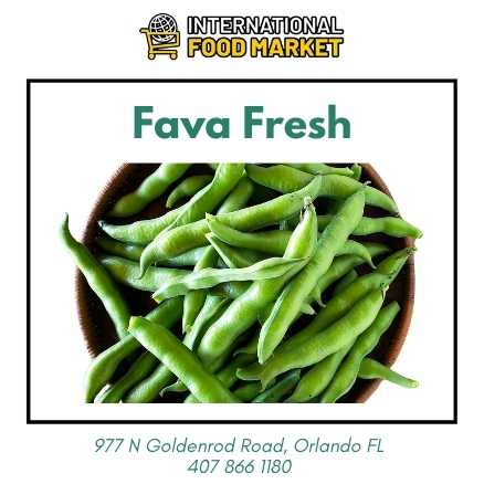FAVA FRESH