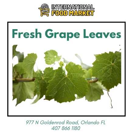 FRESH GRAPE LEAVES