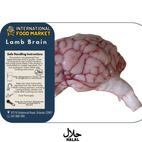 LAMB BRAIN